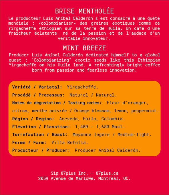 Mint Breeze - Yirgacheffe Natural 250g