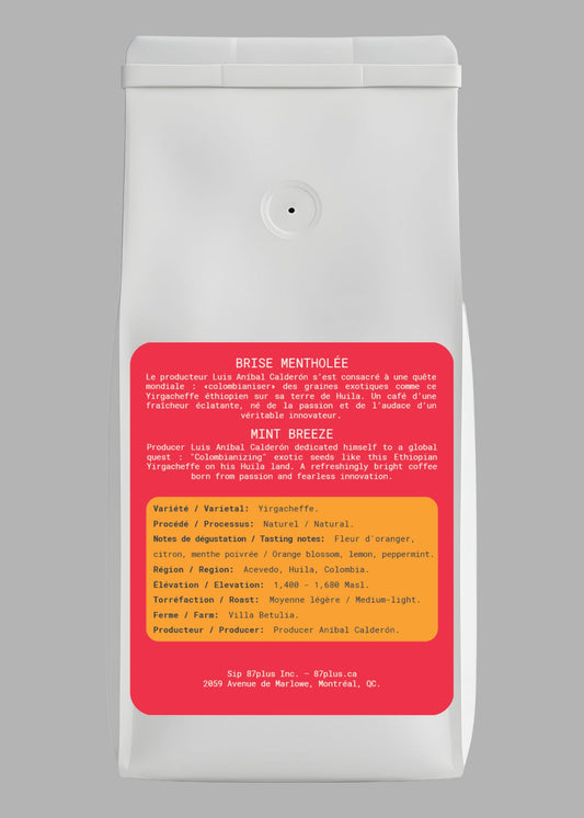 Mint Breeze - Yirgacheffe Natural 250g