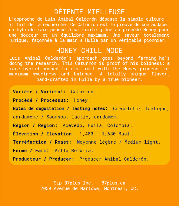 Honey Chill Mode - Caturron Honey 250g